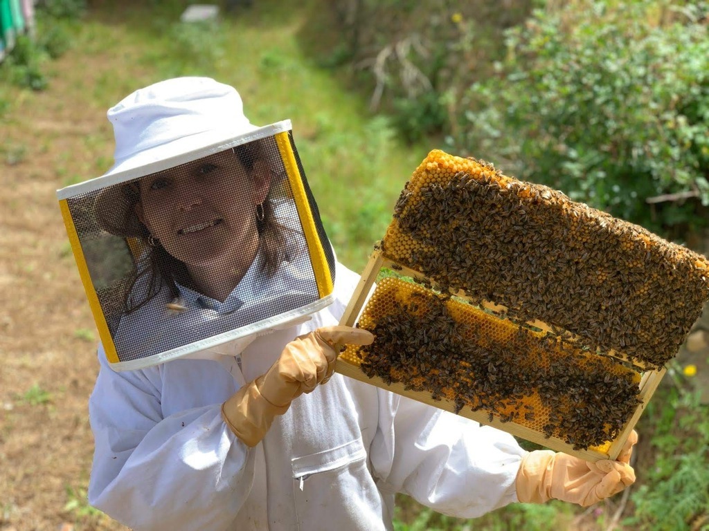 BEEKEEPER definição e significado