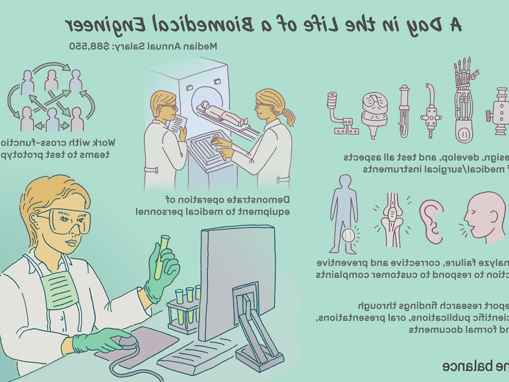 Biomedical cheap engineering careers